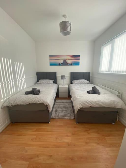 Modern Two Bed House Close To City Centre Belfast Luaran gambar