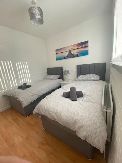 Modern Two Bed House Close To City Centre Belfast Luaran gambar